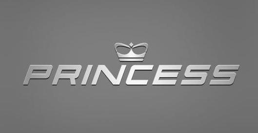 princess yacht logo